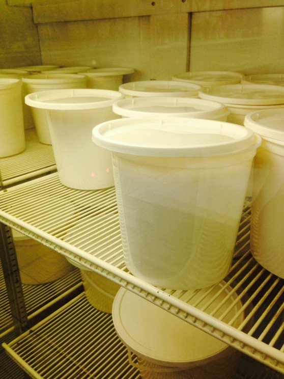 Dau fu fa - one for you, two for me.